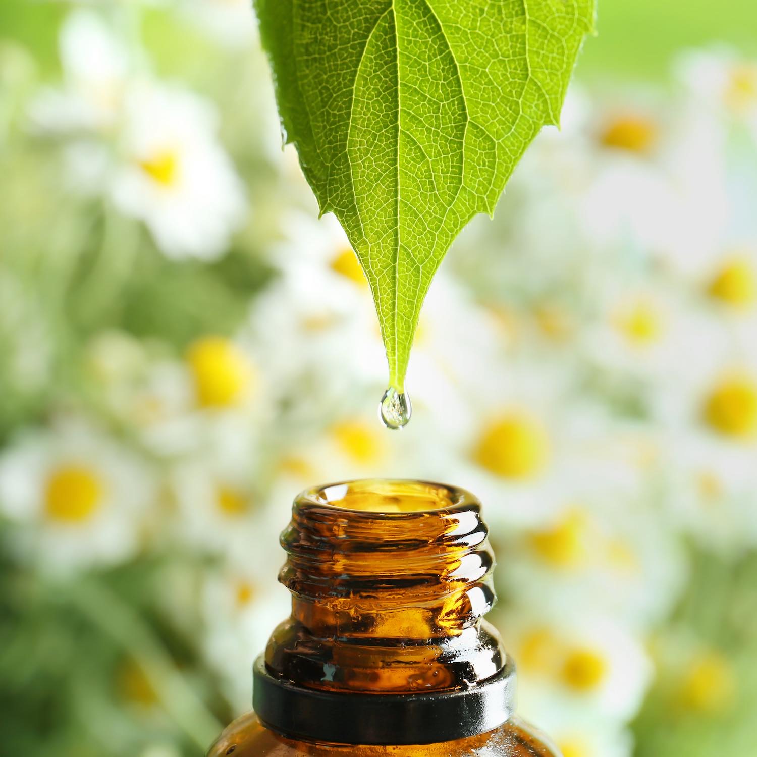 Aromathérapie, Pharmacie des Makes, Les Makes
